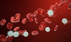 'Kén thời gian' lưu trữ ký ức tế bào, hứa hẹn giải mã ung thư kháng thuốc