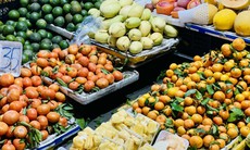 Quýt giá rẻ bán đầy thị trường, tiểu thương bật mí ‘bí kíp’ phân biệt hàng Việt Nam và hàng Trung Quốc