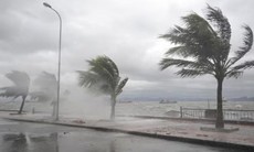 Bão xuất hiện ngay từ đầu tháng 1 có bất thường?