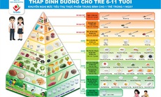 Dinh dưỡng học đường theo tháp dinh dưỡng: Nền tảng cho thể lực, trí lực và tầm vóc tương lai