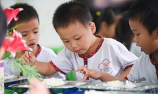 Dinh dưỡng hợp lý là nền tảng cho sự phát triển toàn diện của trẻ em Việt Nam