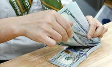 Tỷ giá hôm nay 20/1: Giá USD và NDT biến động ngược chiều