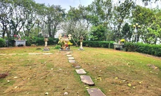 Diện mạo mới tại ‘huyệt đạo thiêng’ trên đỉnh Ngàn Nưa