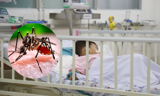 Số ca mắc sốt xuất huyết, tay chân miệng ở TPHCM giảm nhưng nguy cơ vẫn hiện hữu