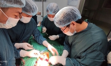 Cứu sống bệnh nhân nguy kịch có vết thương nghiêm trọng vùng cổ