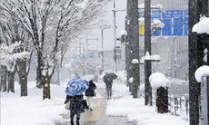 Tuyết rơi kỷ lục ở Nhật Bản gây tê liệt giao thông, ít nhất 4 người tử vong