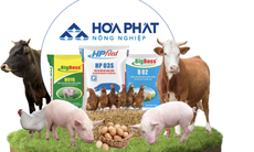 285 triệu cổ phiếu HPA chuẩn bị chào sàn Hose