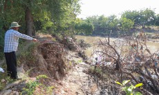 Sạt lở bờ sông Lu, người dân ở Khánh Hòa gặp khó