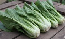 Những ai nên tránh ăn rau cải bẹ xanh?