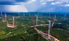 Điện gió Trung Nam Đắk Lắk 1 vi phạm chứng khoán