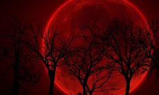 Mặt Trăng sẽ có màu đỏ như máu trong lần trăng tròn đầu tiên của năm 2026