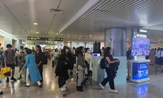 TPHCM tăng cường phòng bệnh do virus Nipah ngay từ cảng hàng không quốc tế Tân Sơn Nhất