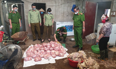 Nhận diện thực phẩm bẩn dịp Tết Nguyên đán thế nào?