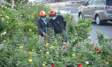 TP Hồ Chí Minh: Tái hiện không gian Tết sông nước với chợ hoa xuân 'Trên bến dưới thuyền'