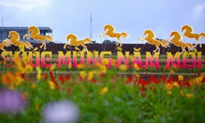 Choáng ngợp hình ảnh hàng vạn chậu hoa kết thành đóa sen khổng lồ ở Huế