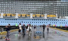 Cảng biển, sân bay ở Huế triển khai phòng chống nguy cơ xâm nhập virus Nipah