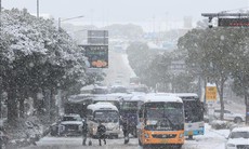 Hàn Quốc: Rét đậm kéo dài làm nhiều người tử vong và nhập viện