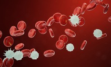 Phát hiện manh mối mới giúp ngăn ung thư tái phát