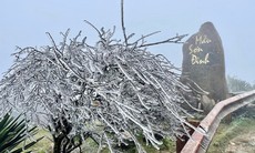 Miền Bắc bước vào đợt rét đậm, rét hại kéo dài