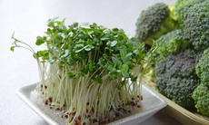 6 nhóm thực phẩm nên ăn để giảm mỡ nội tạng