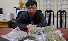 Phát hiện hơn 1 kg cần sa trong đơn hàng giao qua xe ôm ở Hà Nội