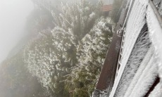 Băng giá phủ trắng đỉnh Fansipan sáng nay