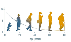 NMN và bí quyết trường thọ của người Nhật dưới góc nhìn khoa học hiện đại
