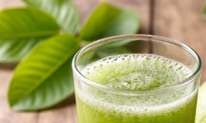 Nước ép lá ổi có tác dụng gì?