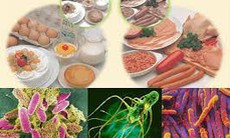 Bộ Y tế: Chủ động giám sát mối nguy ô nhiễm thực phẩm, phòng ngừa ngộ độc