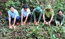 Vượt đèo dốc đưa 16 cá thể động vật nguy cấp, quý hiếm thả về rừng