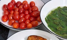 7 thực phẩm giàu protein mềm, dễ nhai nên ăn sau tuổi 70