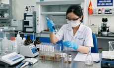 Hà Nội tăng cường kiểm tra chất lượng thuốc cổ truyền
