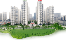 Quy mô phát hành trái phiếu của Geleximco lớn thế nào?