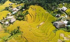 Mùa vàng Xà Phìn hút khách giữa núi rừng Tây Côn Lĩnh