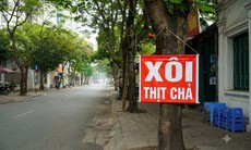 Từ 22/10/2026, cấm treo, gắn biển quảng cáo, biển hiệu lên cây xanh công cộng