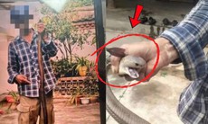 Người đàn ông 28 tuổi tử vong trong lúc chụp ảnh với rắn hổ mang