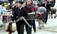 Nghi lễ cúng hồn trâu của người Lự