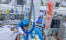Sốt xuất huyết Dengue tăng: Chuyên gia chỉ ra những nhóm có nguy cơ chuyển nặng