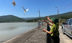 Hơn 1.000 cá thể chim hoang dã được giải cứu và tái thả về tự nhiên