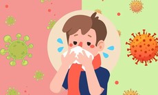 Nhận diện các loại cúm mùa thường gặp ở người