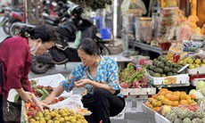 Hồng Việt Nam và hồng Trung Quốc, chỉ cần nhìn vào đặc điểm này người tiêu dùng có thể phân biệt dễ dàng