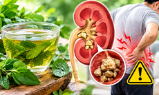 Uống nước lá chữa sỏi thận, người bệnh cần biết điều này trước khi quá muộn