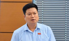 ĐBQH ủng hộ đánh thuế 0,2% đất bỏ hoang, tránh đầu cơ, găm giữ