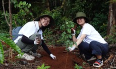 Quản trị rủi ro an ninh môi trường, kiểm soát nguy cơ ảnh hưởng sức khỏe