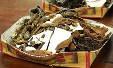 Tự dùng thuốc nam, thuốc gia truyền: Những rủi ro tiềm ẩn người dân cần biết