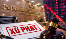 Tập đoàn Hạ tầng Giáo dục vi phạm chứng khoán