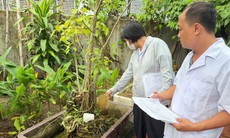 Diễn biến mới dịch sốt xuất huyết tại Thanh Hoá
