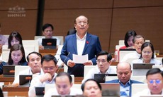 ĐBQH ủng hộ ngưỡng doanh thu 10 tỷ đồng/năm áp dụng tính thuế đơn giản