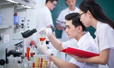 Đề xuất nhân tài được lựa chọn cộng sự, quyết định mức lương thưởng