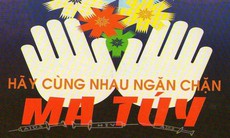 Tập trung nguồn lực thực hiện Chương trình mục tiêu quốc gia phòng, chống ma túy